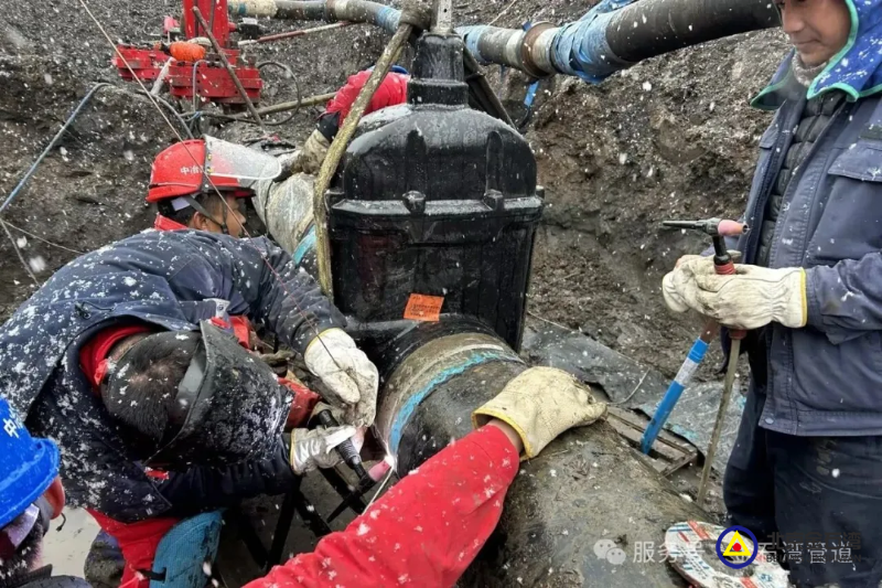 ad2ca946-9840-4493-a910-47c03748db4f